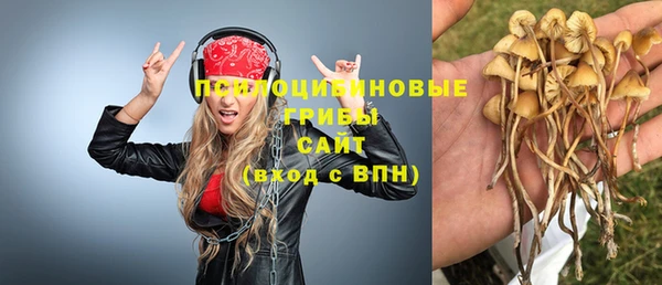 ECSTASY Покров