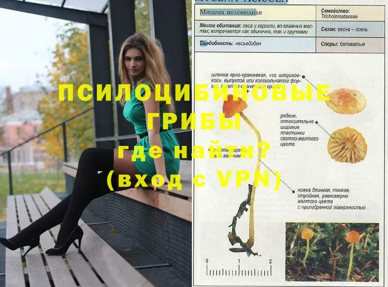 Псилоцибиновые грибы GOLDEN TEACHER  mega вход  Алзамай 