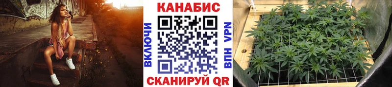 Канабис White Widow  Алзамай 